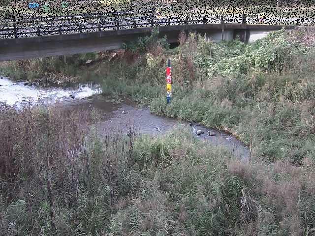 内川 尾崎橋付近のカメラ画像