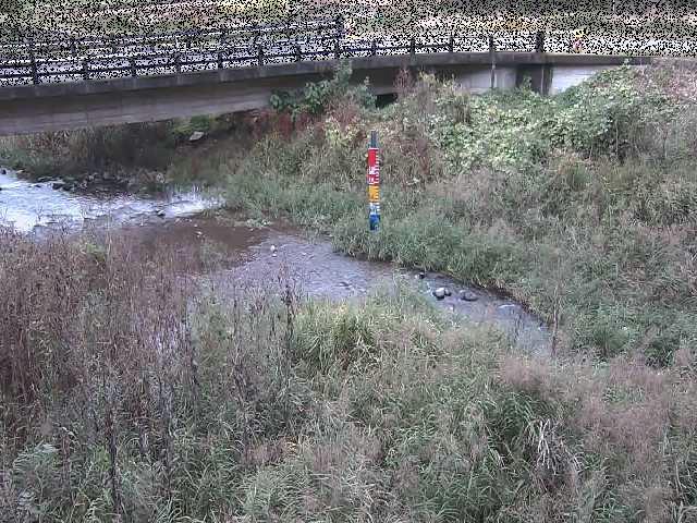 内川 尾崎橋付近のカメラ画像