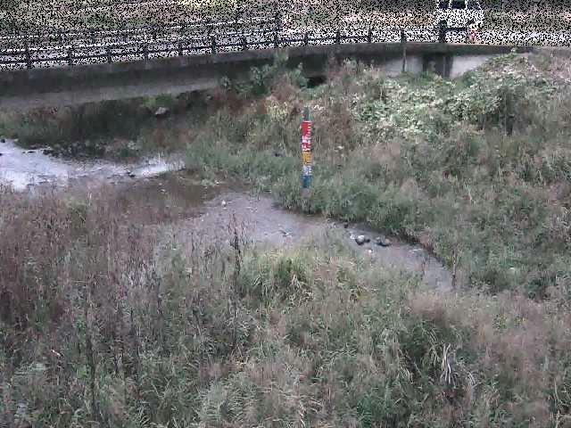 尾崎橋付近のカメラ画像