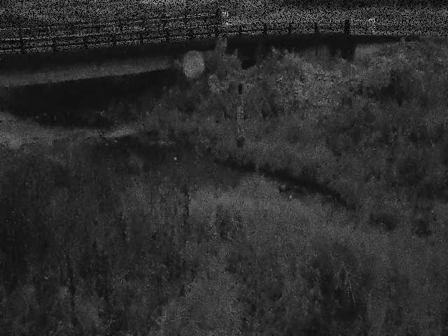 尾崎橋付近のカメラ画像