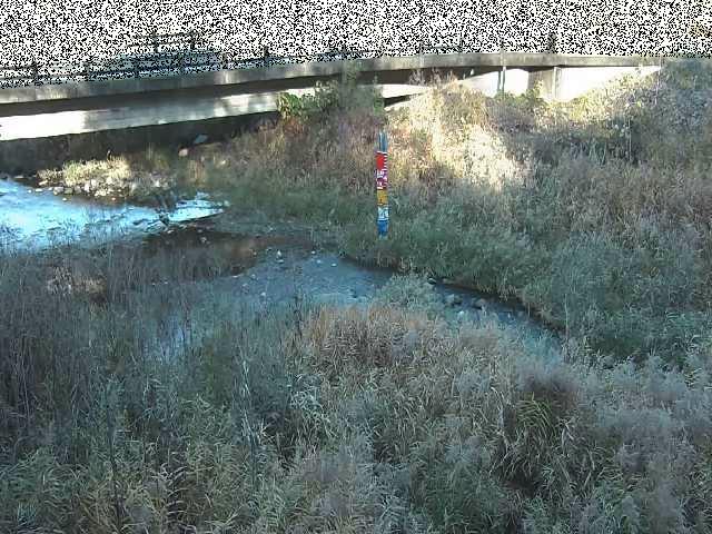 尾崎橋付近のカメラ画像