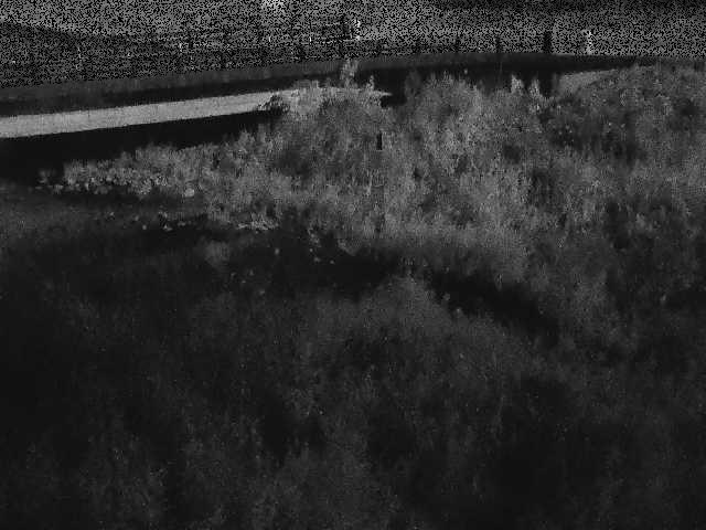 内川 尾崎橋付近のカメラ画像