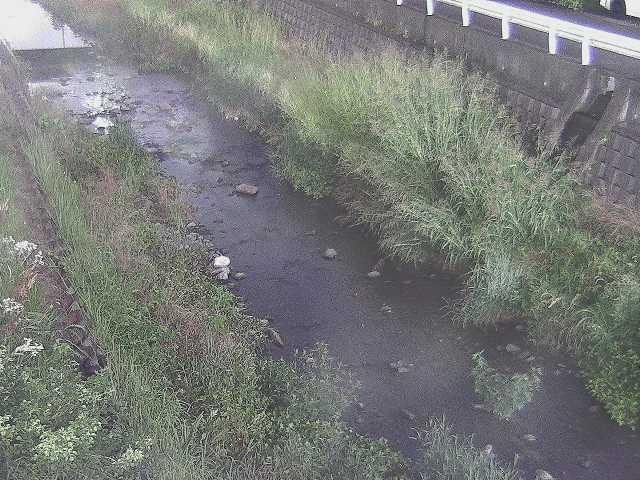 藤沢川 暁橋付近のカメラ画像