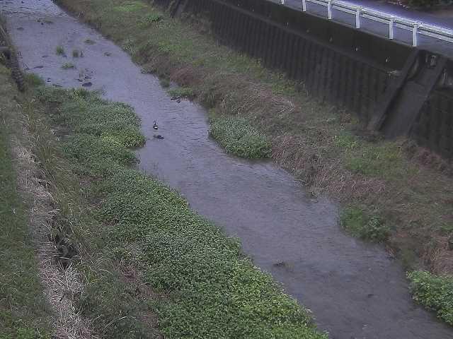 暁橋付近のカメラ画像