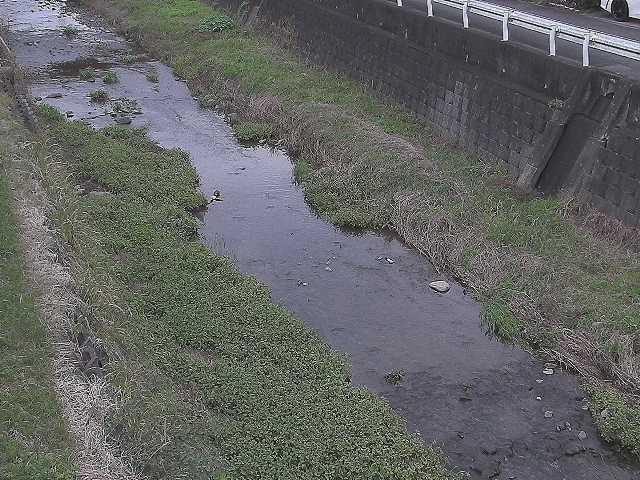藤沢川 暁橋付近のカメラ画像