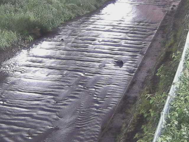 水上橋付近のカメラ画像