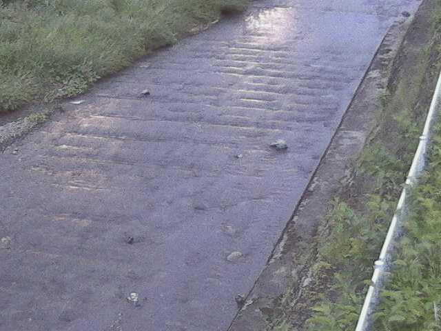 水上橋付近のカメラ画像
