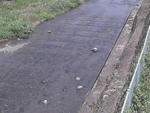 水上橋付近のカメラ画像