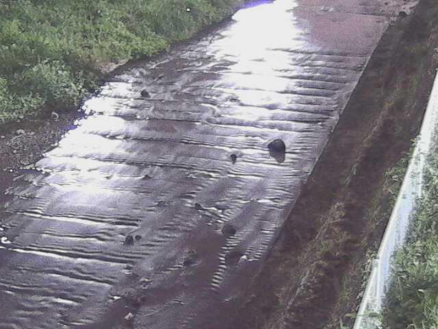 水上橋付近のカメラ画像