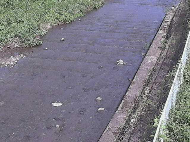 尺里川 水上橋付近のカメラ画像