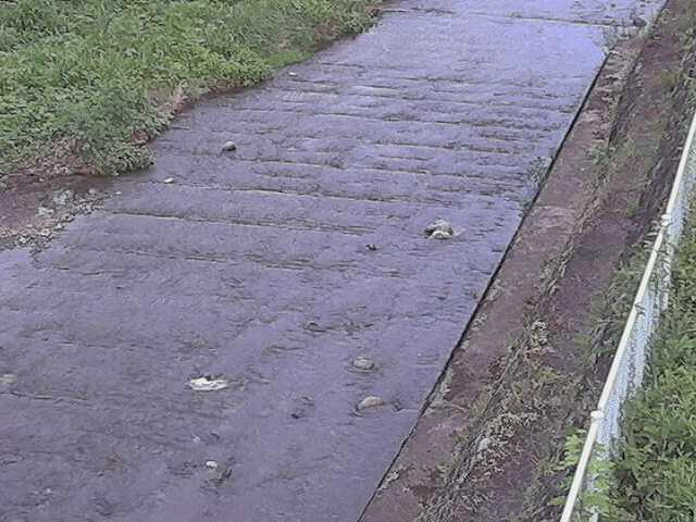 水上橋付近のカメラ画像