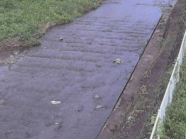 水上橋付近のカメラ画像