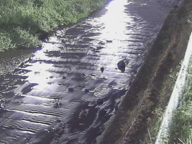 尺里川 水上橋付近のカメラ画像