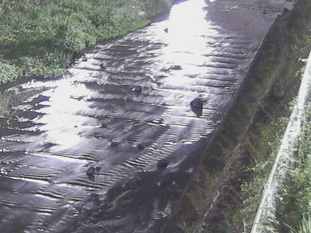 水上橋付近のカメラ画像