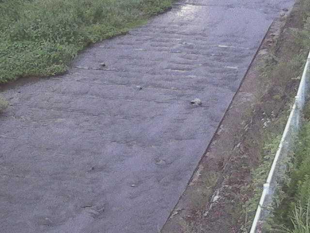 水上橋付近のカメラ画像