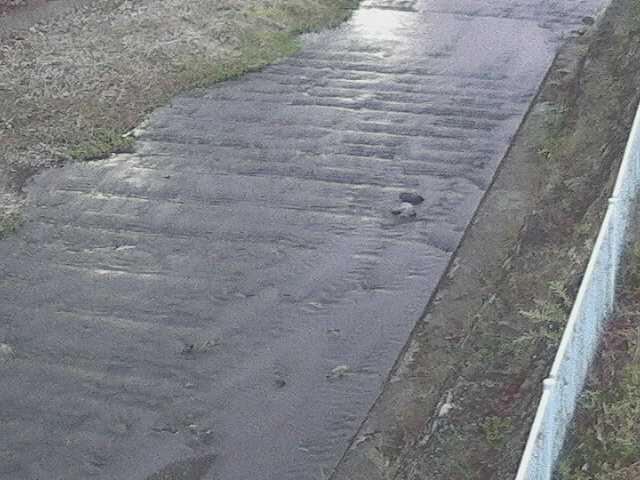 水上橋付近のカメラ画像