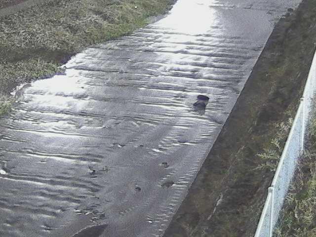 尺里川 水上橋付近のカメラ画像