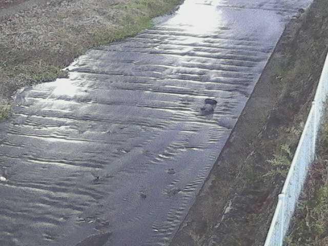 水上橋付近のカメラ画像