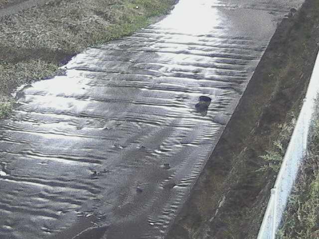 尺里川 水上橋付近のカメラ画像