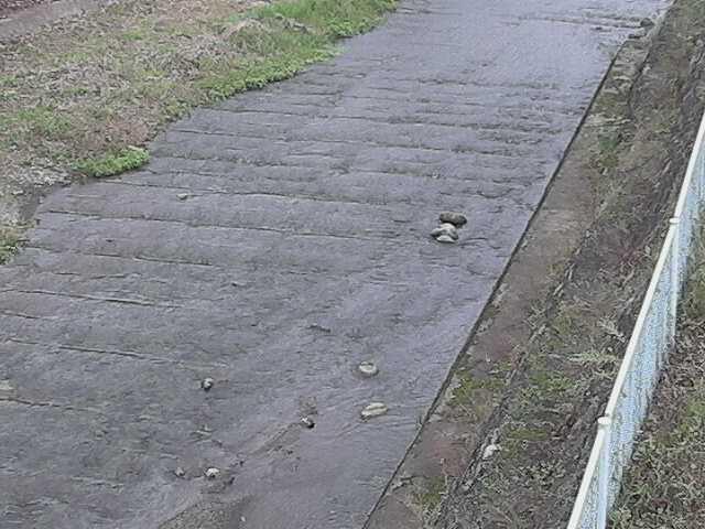 水上橋付近のカメラ画像