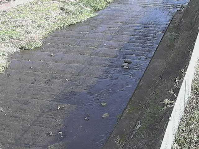 尺里川 水上橋付近のカメラ画像