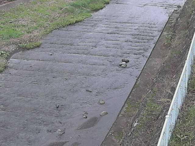 尺里川 水上橋付近のカメラ画像