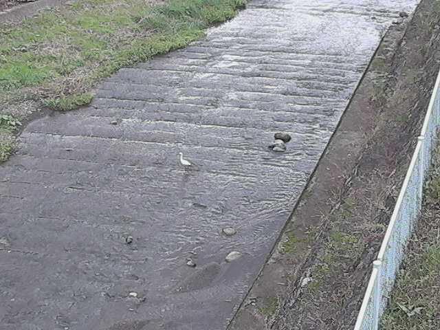 尺里川 水上橋付近のカメラ画像
