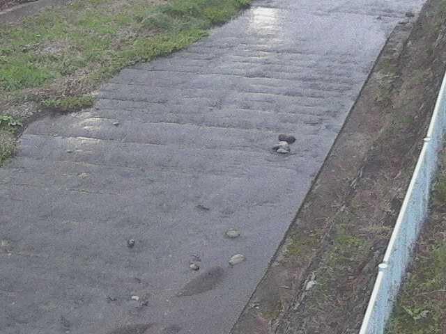 水上橋付近のカメラ画像