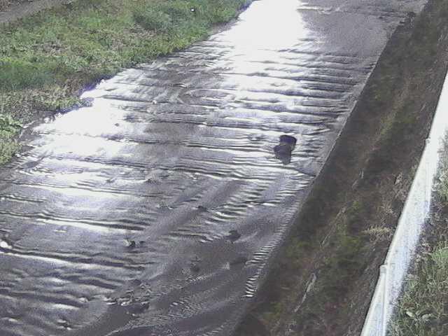 水上橋付近のカメラ画像