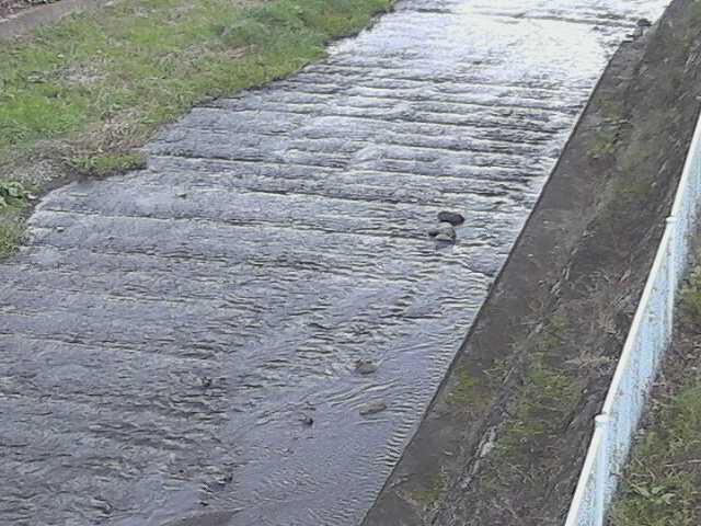 尺里川 水上橋付近のカメラ画像