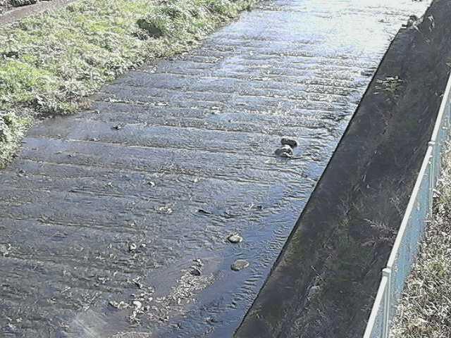 水上橋付近のカメラ画像