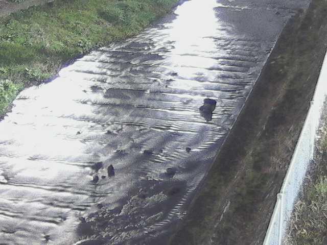 尺里川 水上橋付近のカメラ画像