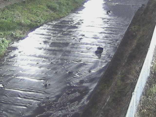 尺里川 水上橋付近のカメラ画像