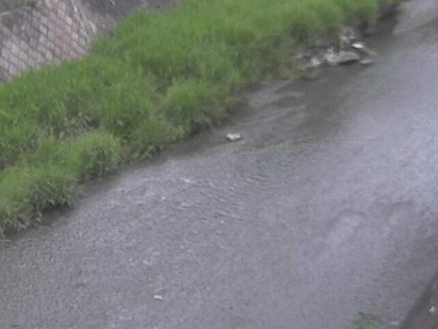 皆瀬川 堀割橋付近のカメラ画像