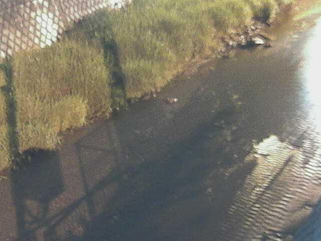 堀割橋付近のカメラ画像