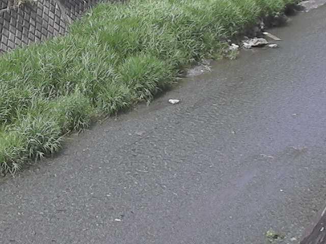 堀割橋付近のカメラ画像