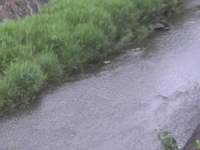 堀割橋付近のカメラ画像