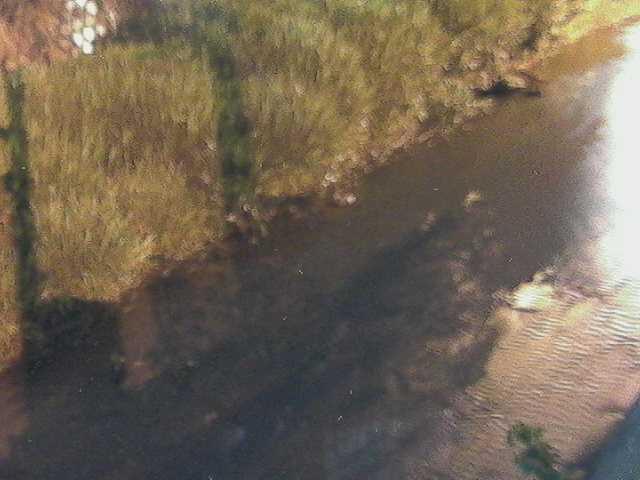 皆瀬川 堀割橋付近のカメラ画像
