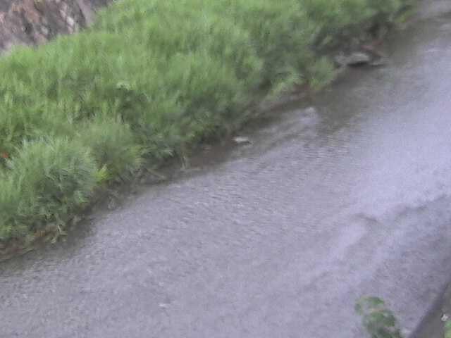 堀割橋付近のカメラ画像
