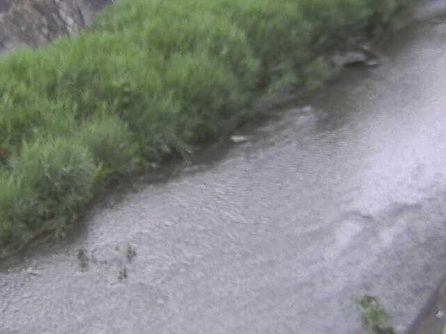 皆瀬川 堀割橋付近のカメラ画像