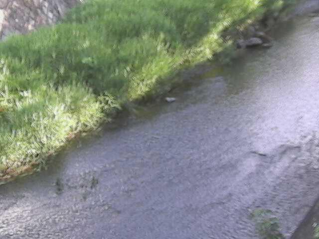 堀割橋付近のカメラ画像