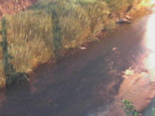 皆瀬川 堀割橋付近のカメラ画像