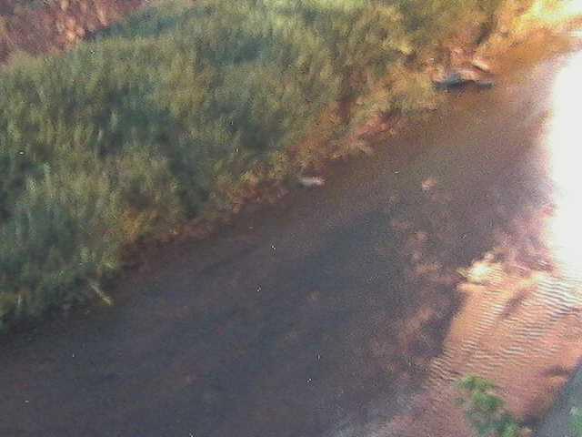堀割橋付近のカメラ画像