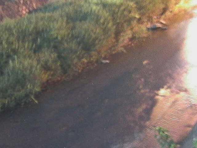 皆瀬川 堀割橋付近のカメラ画像