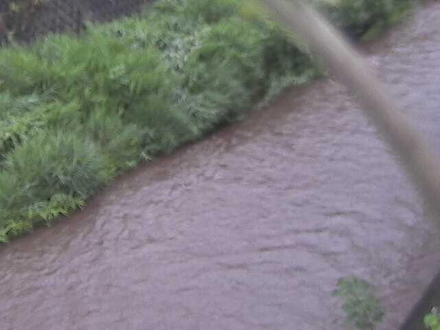 堀割橋付近のカメラ画像