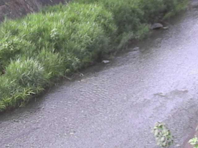 皆瀬川 堀割橋付近のカメラ画像