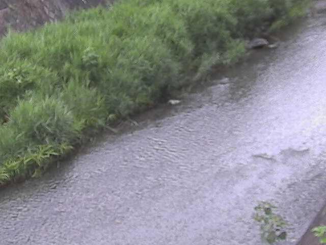 堀割橋付近のカメラ画像