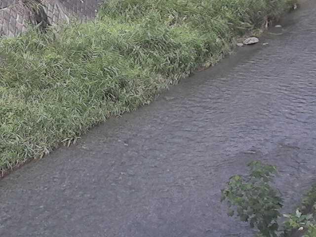 堀割橋付近のカメラ画像
