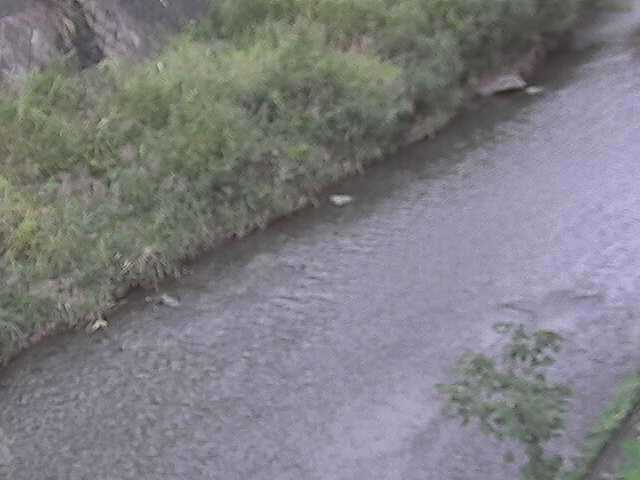 堀割橋付近のカメラ画像