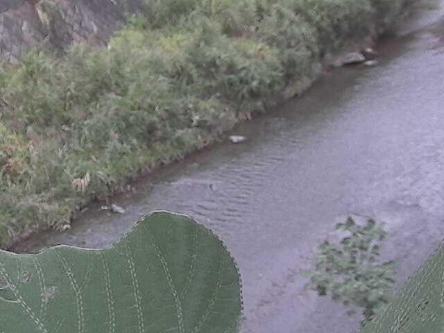 堀割橋付近のカメラ画像
